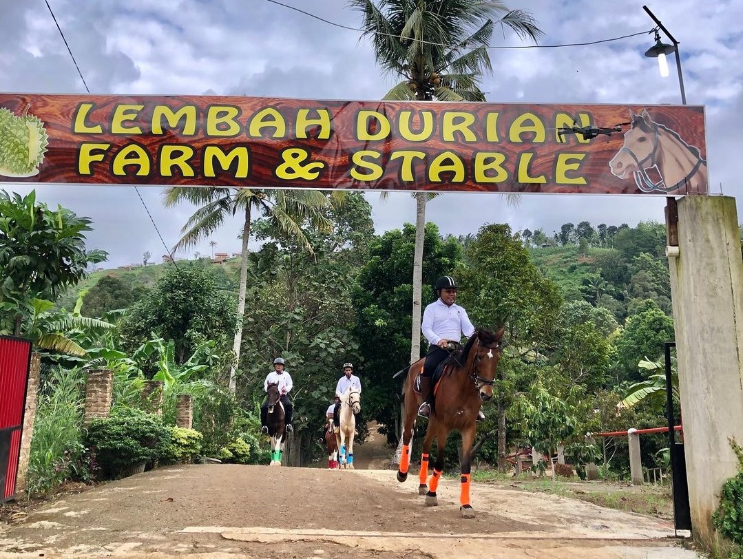 Lembah Durian Farm Stable