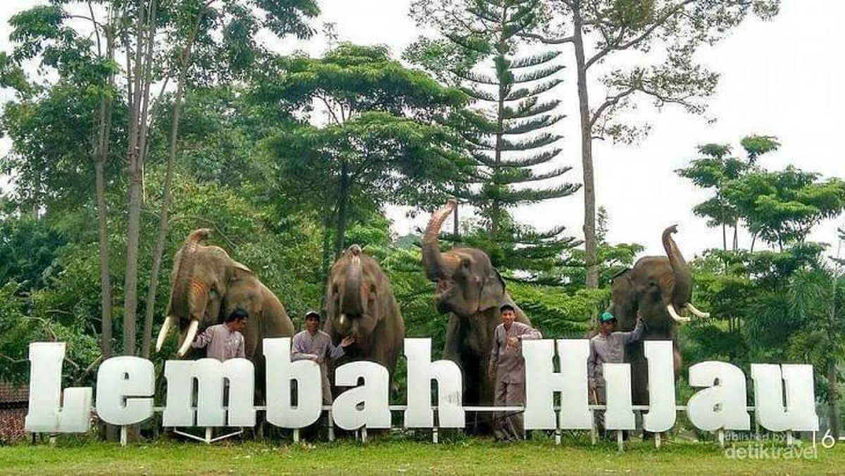 LEMBAH HIJAU